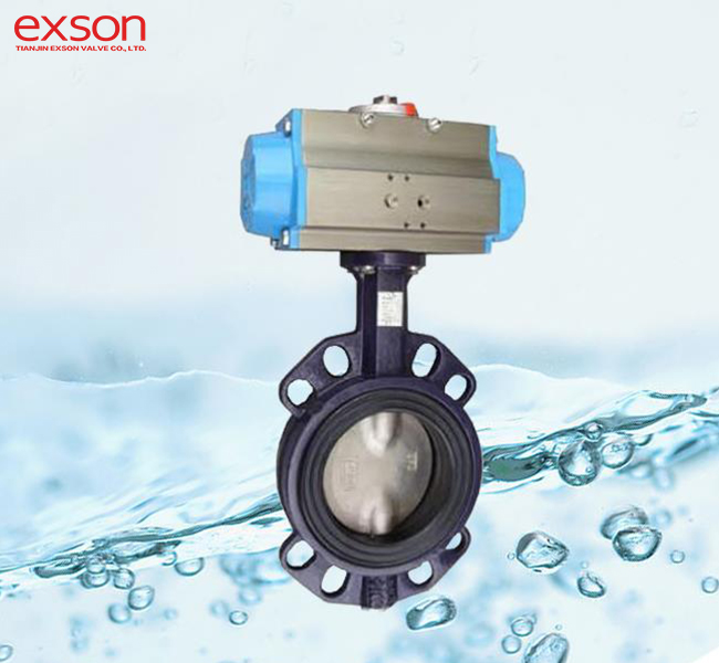 Butterfly Valve With Pneumatic Actuator